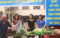 Hội Nông dân Hà Nội hỗ trợ tiêu thụ 7 tấn nông sản an toàn