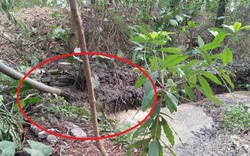 Hà Nội: Xí nghiệp môi trường “đổ bậy” phân bùn ngay trong đơn vị