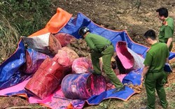 Lạng Sơn: CA truy tìm nghi phạm đổ hoá chất làm ô nhiễm nguồn nước