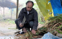 "Thần sống" nơi thâm sơn cùng cốc, 99 tuổi vẫn chăn trâu bình thường