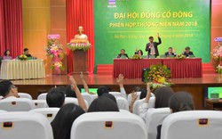 PVFCCo tổ chức thành công Phiên họp thường niên 2018 của Đại hội đồng cổ đông