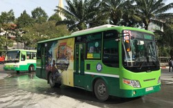TP.HCM: Xe buýt tăng chuyến, 7 tuyến miễn phí cho hành khách