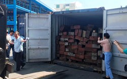 Bí mật “khủng” trong thùng hàng container tại cảng ở Sài Gòn