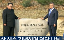 Video: Hai nhà lãnh đạo Hàn Quốc - Triều Tiên cùng trồng cây hòa bình