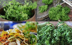 Những đặc sản rau ngon, độc, lạ nhất định phải thử khi đến Hà Giang