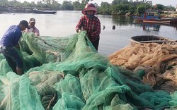 Thừa Thiên Huế: 300 thuyền của ngư dân có nguy cơ mắc cạn