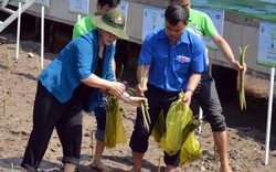 Chủ tịch Quốc hội Nguyễn Thị Kim Ngân trồng cây tại Đất Mũi