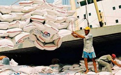 Giá gạo Việt 5 tuần tăng liên tiếp, vượt "ông lớn" Thái Lan, Ấn Độ