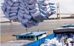 Gió đảo chiều, giá gạo xuất khẩu Việt Nam lại vượt Thái Lan