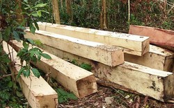 Vụ lâm tặc phá rừng dịp nghỉ lễ ở Gia Lai: Xã không nghe báo cáo