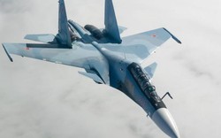 Vì sao máy bay đâm phải chim khiến hai phi công Su-30 Nga thiệt mạng?
