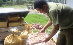 Quảng Ninh: Bắt giữ hơn 1 tấn nội tạng động vật tại khu vực biên giới