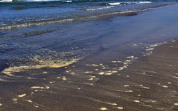 Những ống cao su bí ẩn nhuộm đen bãi biển đẹp nhất Quảng Ngãi
