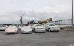 Cảng Hải Phòng: Hé lộ nguyên nhân lô xe trăm tỷ phủ bạt