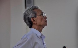 Ông lão 77 tuổi dâm ô với trẻ em ở Vũng Tàu được giảm án