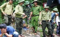 Phá rừng liên tục ở Quảng Nam: Một kiểm lâm quản lý 10.000ha sao nổi