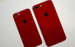 iPhone 8 và 8 Plus phiên bản đỏ chính hãng lên kệ tại Việt Nam
