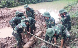 Thi công cao tốc Vân Đồn - Móng Cái, phát hiện quả bom “khủng”