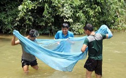 "Độc chiêu" dùng màn ngủ, súng cao su để bắt cá ở vùng cao xứ Nghệ