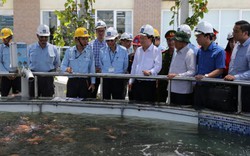 Duy trì chế độ kiểm soát môi trường đặc biệt tại Formosa Hà Tĩnh