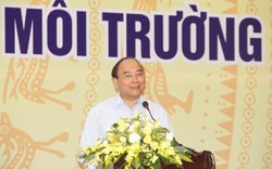 Thủ tướng nói về sự cố môi trường biển: "Lửa thử vàng, gian nan thử sức"