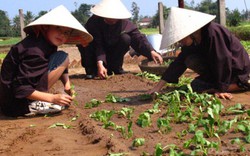 Du lịch nông thôn: Cân bằng giữa phát triển và bảo tồn