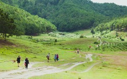 Tà Năng - Phan Dũng: Cung đường trekking đẹp nhưng đầy rẫy hiểm nguy