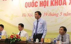 Tổng Thư ký Quốc hội nói gì về việc xử lý bà Phan Thị Mỹ Thanh?