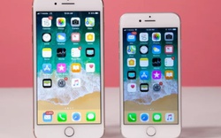 iPhone 8/ iPhone 8 Plus giảm giá "sốc" 2 triệu đồng