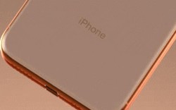 Ngắm iPhone X bản ngập trong vàng, đẳng cấp vẫn là mãi mãi