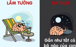 12 lầm tưởng hài hước về cơ thể người đến nay vẫn có người tin “sái cổ”