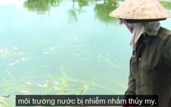 Nguyên nhân khiến cá chết hàng loạt ở Kon Tum