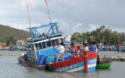 Tàu cá chở 7 ngư dân Lý Sơn bị đâm chìm ở Hoàng Sa