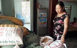 Quảng Nam: Thuốc xịt đậu phộng tự rụng-tin đồn "dồn, ép" nông dân