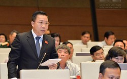 Cổ phần hóa DNNN: Vì sao Bộ trưởng Nguyễn Văn Thể bị ĐBQH phản ứng?