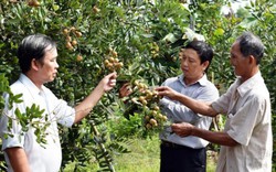 Huyện Dương Minh Châu: Cải tạo kênh mương để chuyển đổi cây trồng
