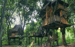 Tận hưởng mùa hè tuyệt vời trên những ngôi nhà trên cây ở Chiang Mai