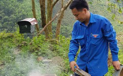 Chàng trai Phú Thọ bỏ bằng cử nhân sư phạm lên rừng nuôi ong