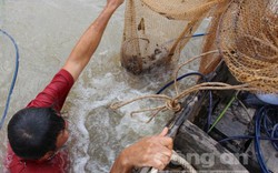 "Quái kiệt" săn cá ngát sông Hàm Luông: Hết gặp tử thi đến chạm mặt “tử thần”