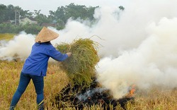 Bán chẳng ai mua, dân xứ Nghệ mang "sợi vàng" ra đốt