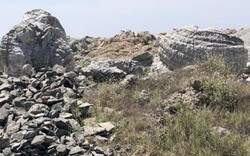 Quảng Ngãi: Vứt lăn lóc "báu vật" san hô hóa thạch 6.000 tuổi?