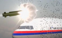 Malaysia: Không có bằng chứng về việc Nga bắn hạ MH17