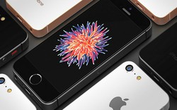 Không cần tai thỏ, iPhone SE 2 nắp lưng kính vẫn đẹp xiêu lòng