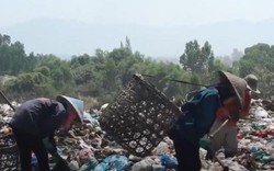 Những phận người mưu sinh ở bãi rác lớn nhất Đà Nẵng