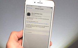 Cách tải về và trải nghiệm iOS 12 beta nhanh chóng ngay từ giờ