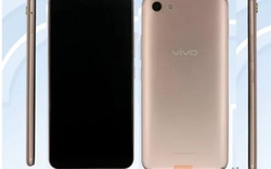 Bộ ba smartphone tầm trung Vivo lộ diện trên phép thử TENAA