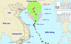 Bão EWINIAR đổ bộ bán đảo Lôi Châu, di chuyển cực chậm