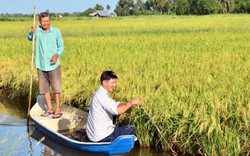 Trả hết nợ, xây được nhà đẹp nhờ ăn chắc làm tôm - lúa thắng lớn