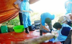 Vụ khai quật thi thể nữ kế toán: Giám đốc BVĐK Yên Thành lên tiếng