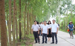 Bắc Ninh lợi ích kép từ những “hàng cây nông dân”